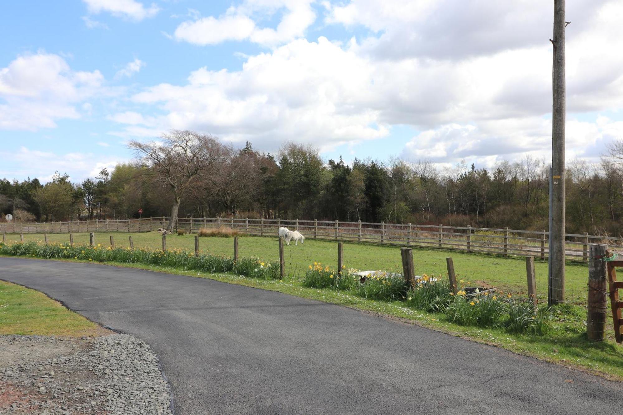 Blairmains Guest House Kirk of Shotts Luaran gambar