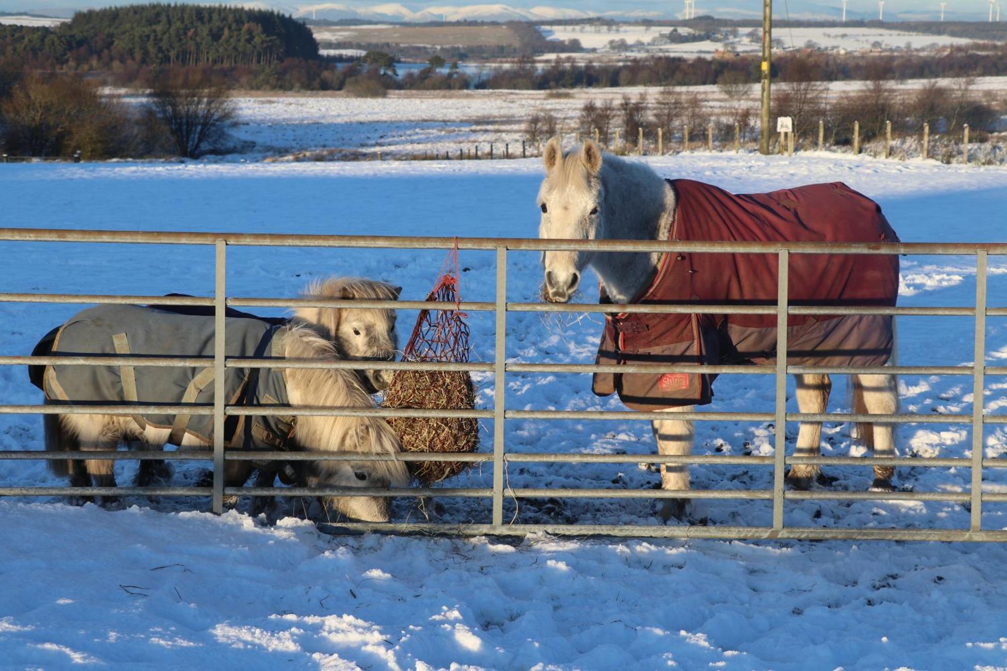 Blairmains Guest House Kirk of Shotts Luaran gambar